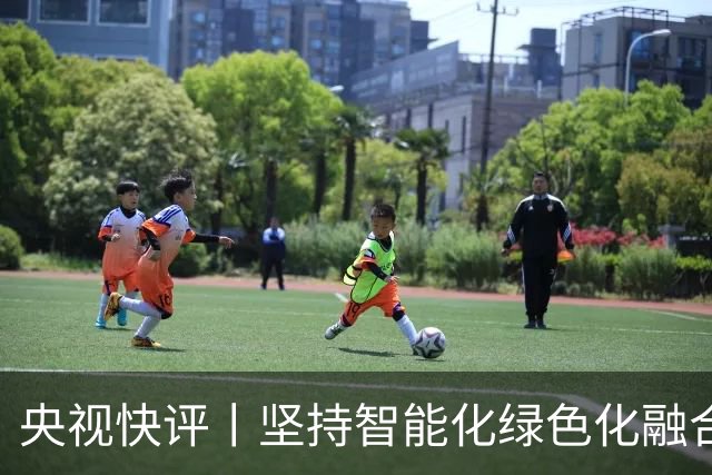 央视快评丨坚持智能化绿色化融合化方向 持续做大做强先进制造业